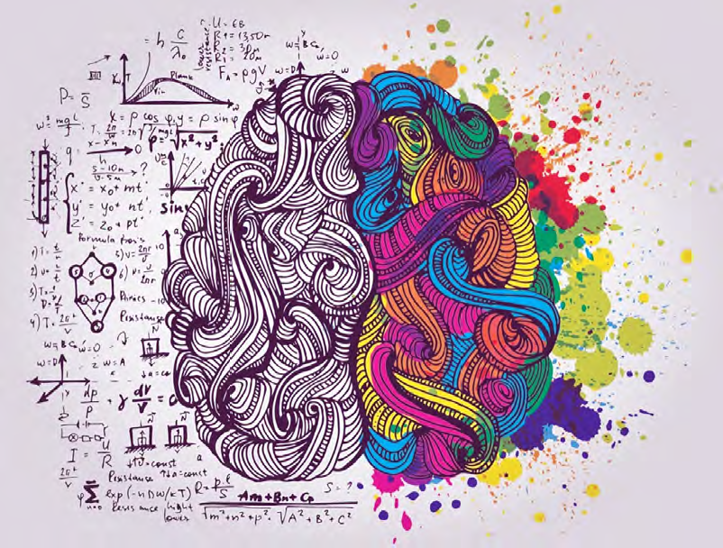 IMT: il cervello e le sue funzioni